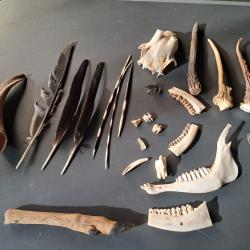 Lot de curiosit&eacute;s diverses #1808