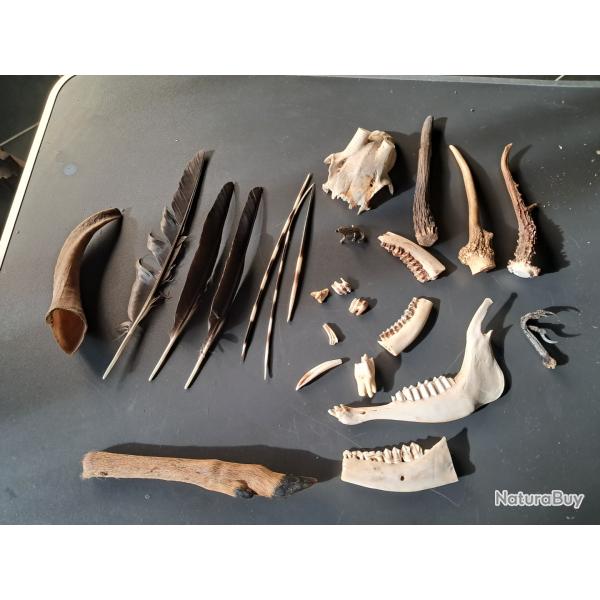 Lot de curiosit�s diverses #1808