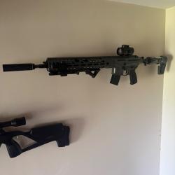 Sig sauer MCX virtus 5.5mm