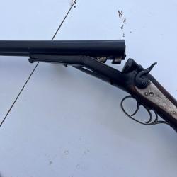 Juxtapos&eacute; &agrave; chiens cat D