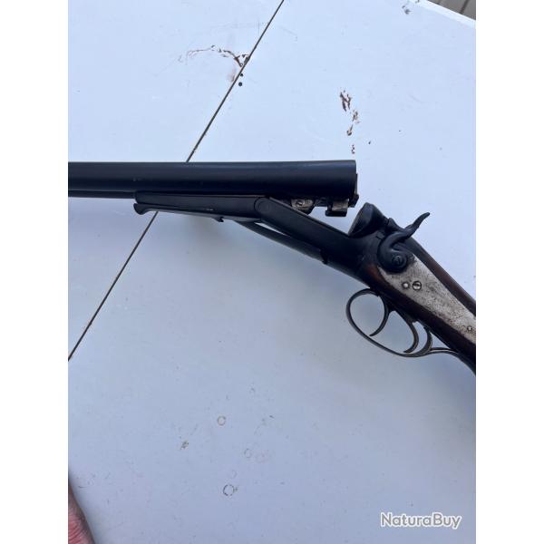 Juxtapos� � chiens cat D