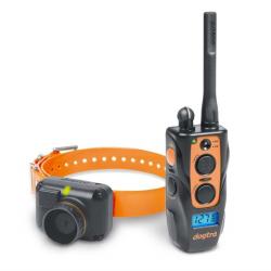 Dogtra 2600 T&B 1 collier