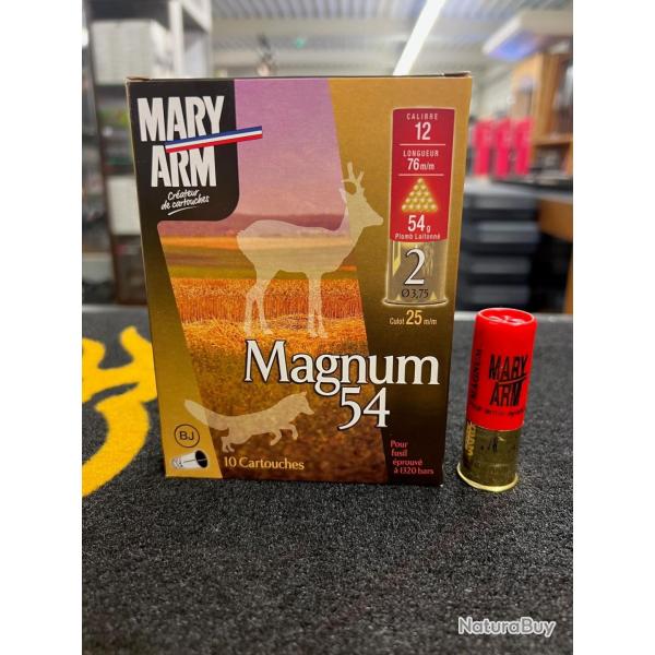 Mary Arm Magnum 54 BJ 12x76 x10