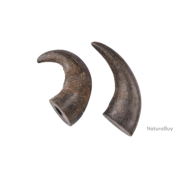 FRIANDISES Nature Corne de buffle x2