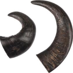 FRIANDISES NATURE CORNE DE BUFFLE Medium (x2)