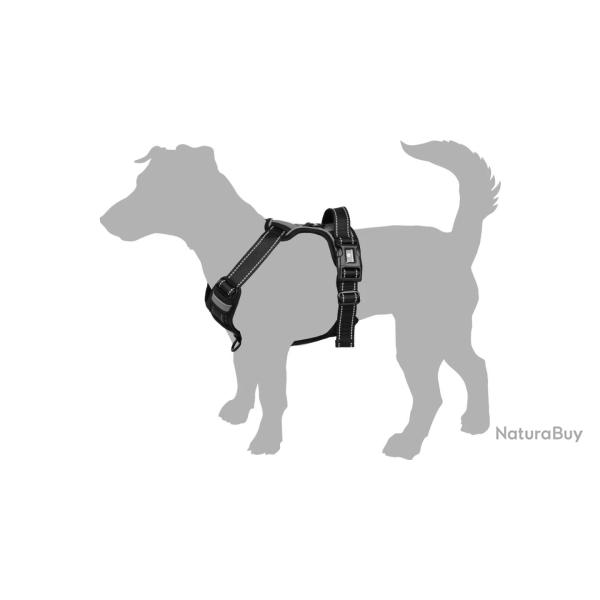 Harnais Balou Bleu XL