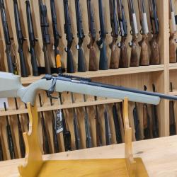 SPRINFIELD ARMORY 2020 RF TARGET GRIS 22LR