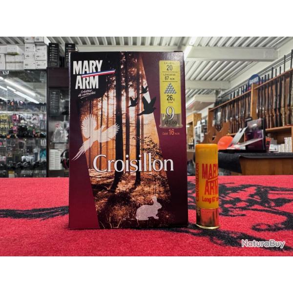 Mary Arm Croisillon 20x67 26g (x10) n�9