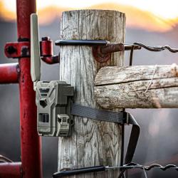 camera SPYPOINT FLEX-M