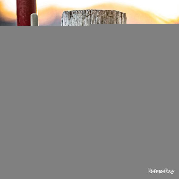 camera SPYPOINT FLEX-M