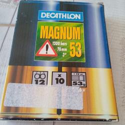 cartouche magnum 1200 bars