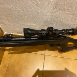 Carabine Gamo &eacute;lite premium
