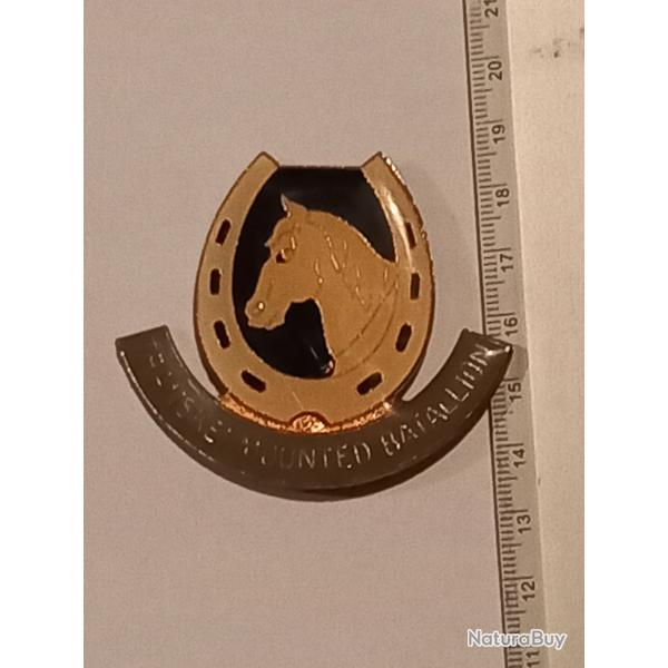 Insigne du bataillon mont�e du Transkei - arm�e sud-africaine