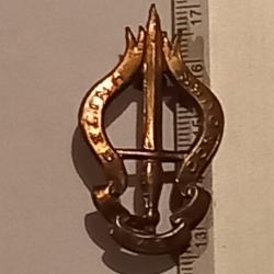 Insigne du 2&egrave;me bataillon de commandos parachutistes - arm&eacute;e belge