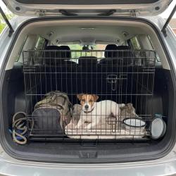 Cage m&eacute;tal grillag&eacute;e avec plateau noir 122 x 75 x 82 cm