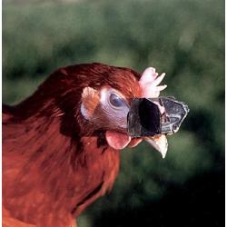 Antipicage Speed-lune par lot de 100