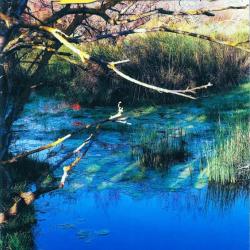 Revues Chasse &agrave; l'Arc.