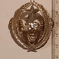 Insigne du commando 5 - arm&eacute;e za&iuml;roise (R&eacute;publique d&eacute;mocratique du Congo)