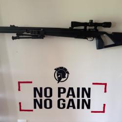 Stoeger XM1 S4 suppressor