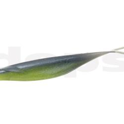 Leurre Souple Deps Sakamata Shad 12,5 et 15,3cm 15,3cm 20 - Watermelon Pro Blue