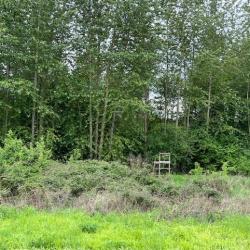 DOMAINE DE CHASSE A NESLES LA VALLEE - VAL D'OISE 95