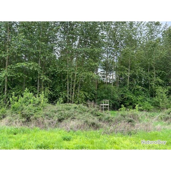 DOMAINE DE CHASSE A NESLES LA VALLEE - VAL D'OISE 95