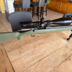 Carabine Ruger americain Rifle 22-250