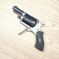 Revolver velodog cat D