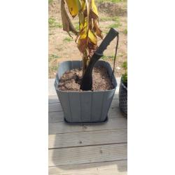 Machette "KUKRI"  de survie avec &eacute;tui et kit de survie dans le manche