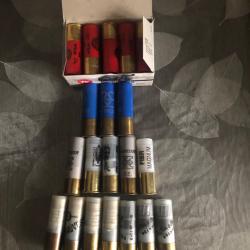 balle  cal 12,76, magnum, 70, Sauvestre ,winchester,  fier, rottweil,sellier Bellot,chevetin9 g