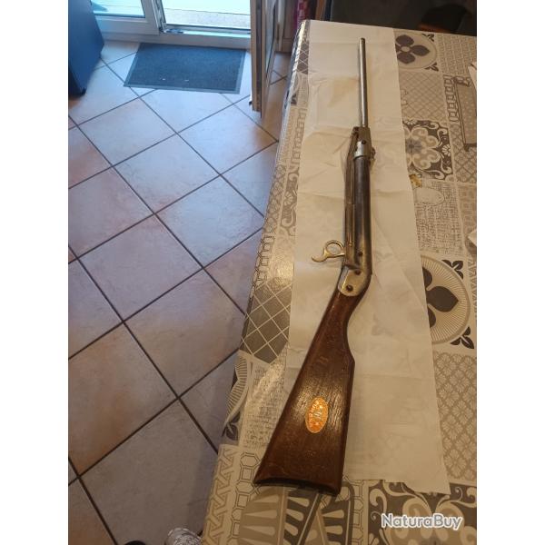 Belle carabine eureka diane