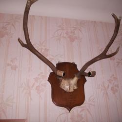 massacre porte fusils