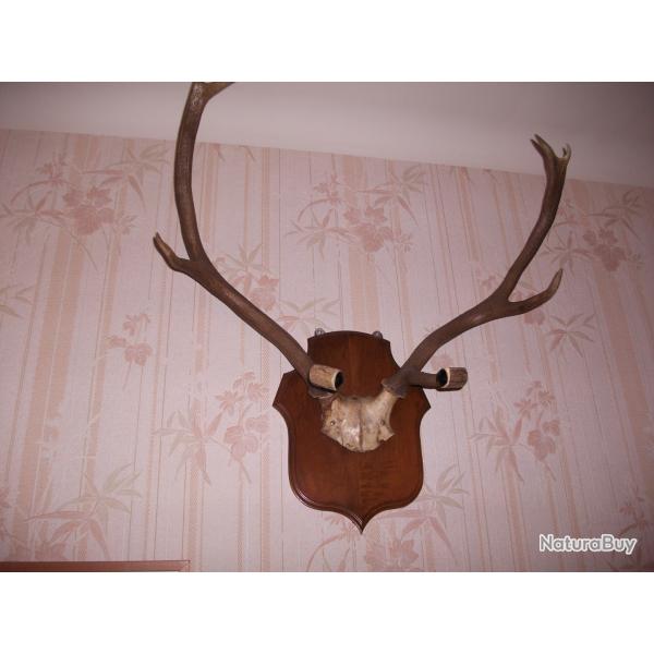 massacre porte fusils