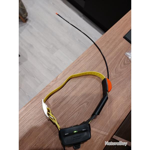 Collier garmin alpha 100/t5 (sans t�l�commande)