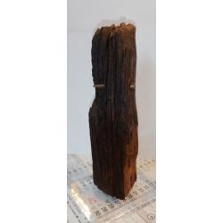 Souvenir bois de 14-18 / WW1