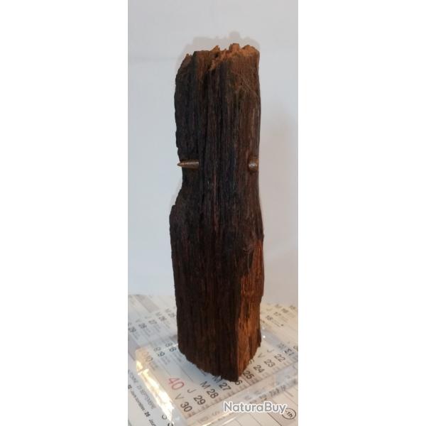 Souvenir bois de 14-18 / WW1