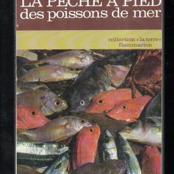 la p&ecirc;che &agrave; pied des poissons de mer de robert sinsoilliez