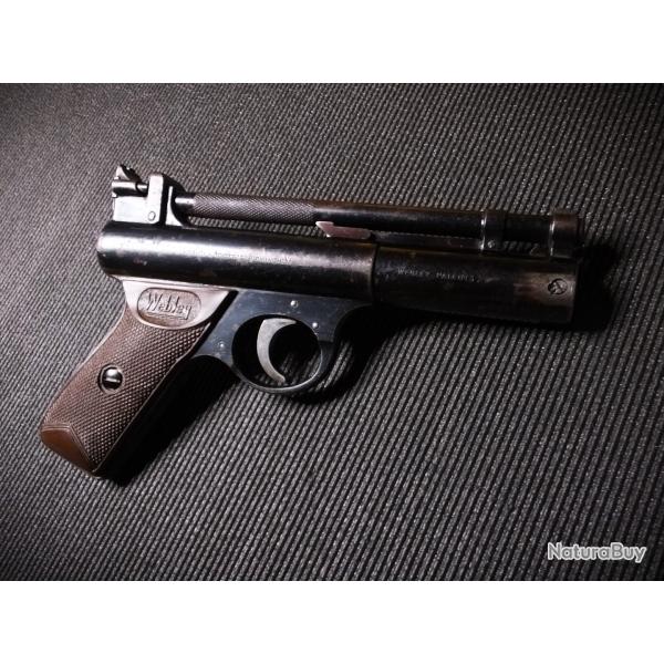 Magnifique WEBLEY & SCOTT "SENIOR" - Made in England - Calibre 4.5 mm - COLLECTOR  - belle pat