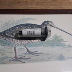 Vend choke G&eacute;mini pour rizzini.