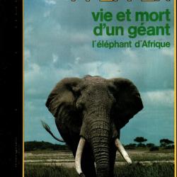 vie et mort d'un g&eacute;ant l'&eacute;l&eacute;phant d'afrique de pierre pfeffer