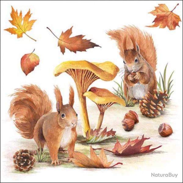 SERVIETTE ECUREUIL ET CHAMPIGNONS - AMBIENTE