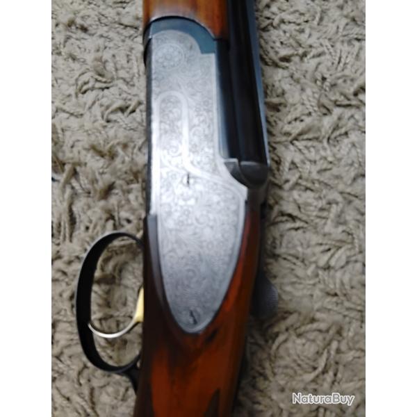 Rizzini parcours chasse