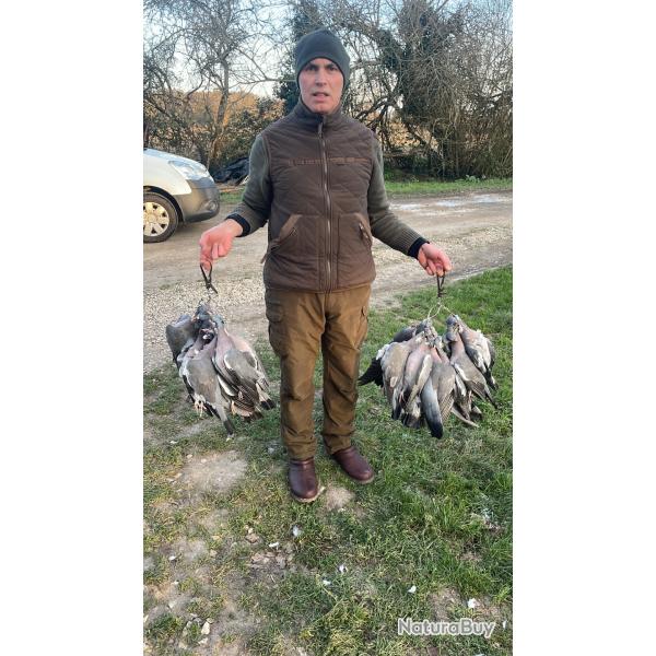 Chasse � la palombe