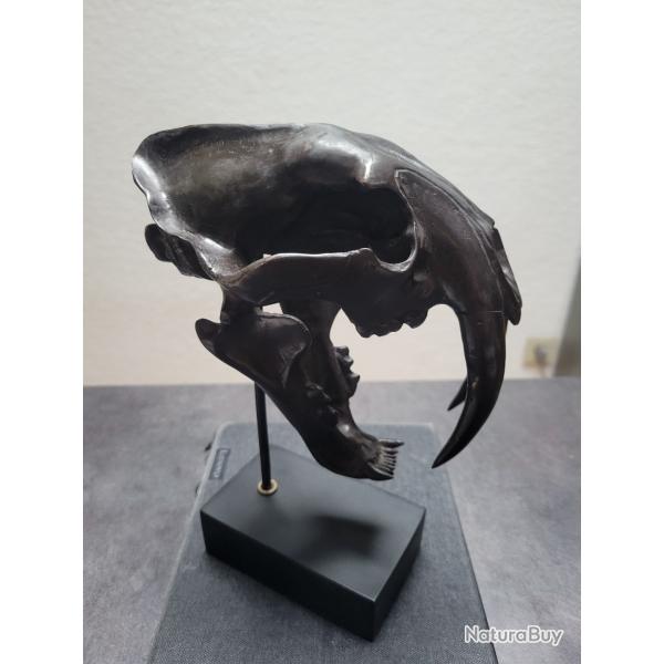 Tigre � dent de sabre ( SMILODON )