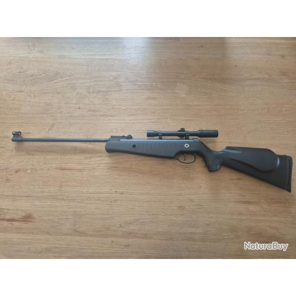 Carabine calibre 4,5 avec lunette 4X20