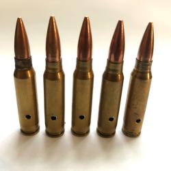 Lot de 5 munitions neutralis&eacute;es 300 Savage, percut&eacute;es, vides, et perc&eacute;es