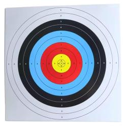 ENCHERE 1 EURO / Lot de 100 cibles 17x17cm multi