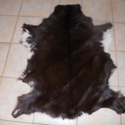peau de chevre 1 longueur environ 95 cm dans son jus petit brossage a faire