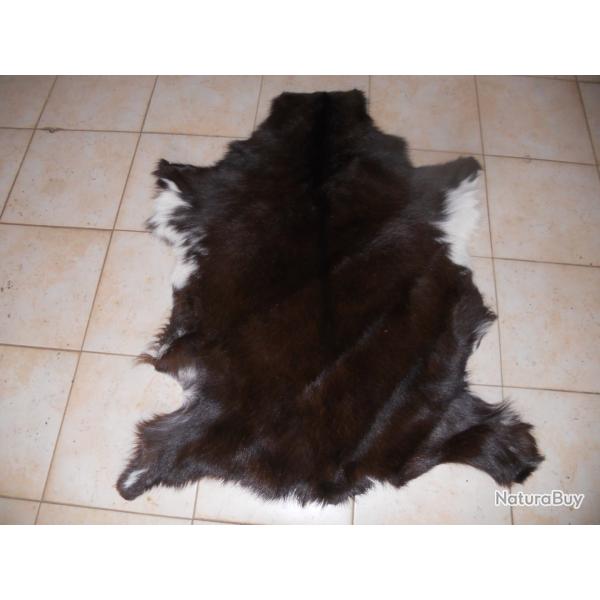 peau de chevre 1 longueur environ 95 cm dans son jus petit brossage a faire