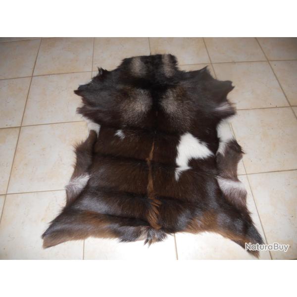 peau de chevre 2 longueur environ 95 cm dans son jus petit brossage a faire